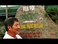 Kô Tam Ama Kông